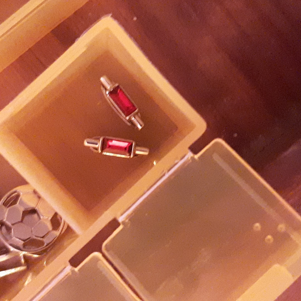 2 Red January Birthstone Gold Keep Collective Charms Stella and Dot